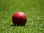 A cricket ball on the field
