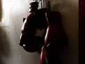 oxing gloves hang on the wall at the Urbina Westside Boxing Gym where Israel Vasquez Two-time Junior Featherweight World Champion had a workout session on September 29, 2009 i