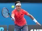 David Ferrer in action on day two of the Australian Open on January 20, 2015